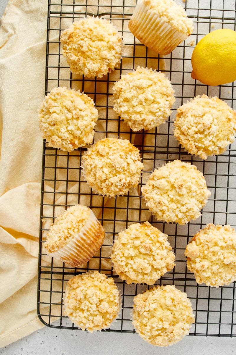 a batch of freshly baked white currant lemon polenta rounds cooling on a wire rack