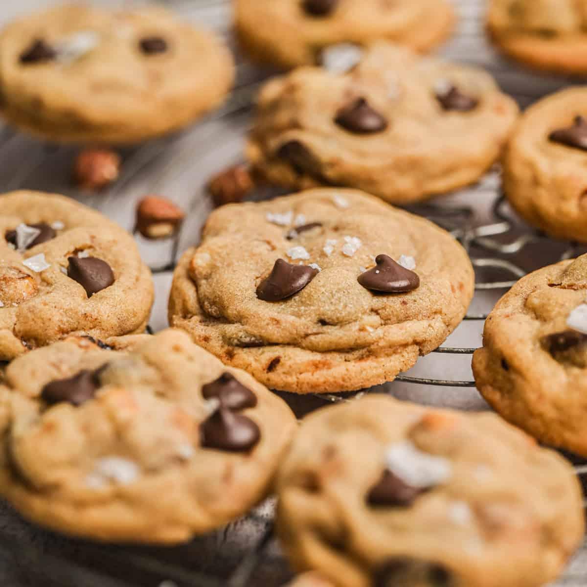 Warm hazelnut cookies cooling on a wire rack with whole hazelnuts scattered around