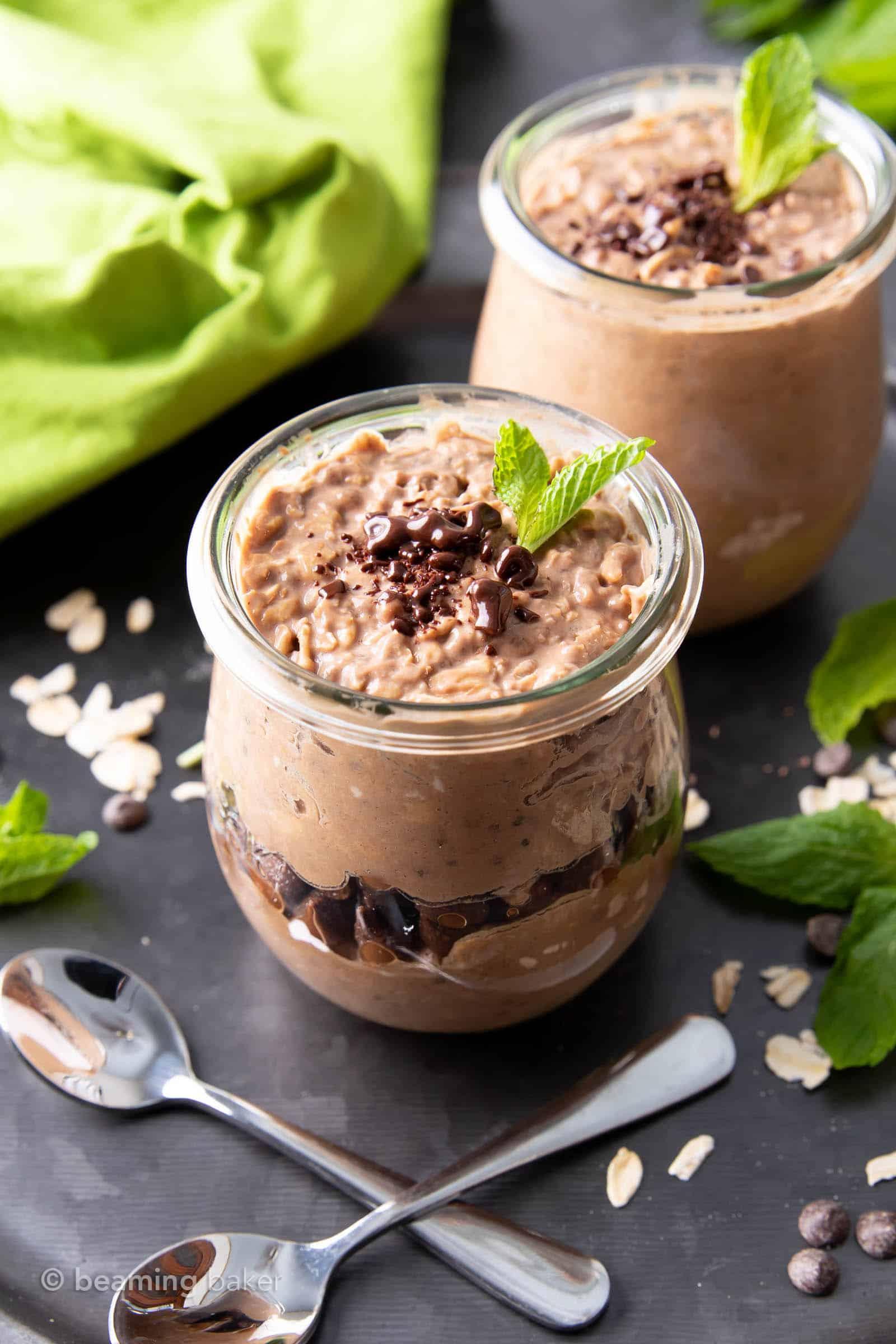 A bowl of creamy Mint Chocolate Chip Oats, garnished with fresh mint sprigs and chocolate shavings.