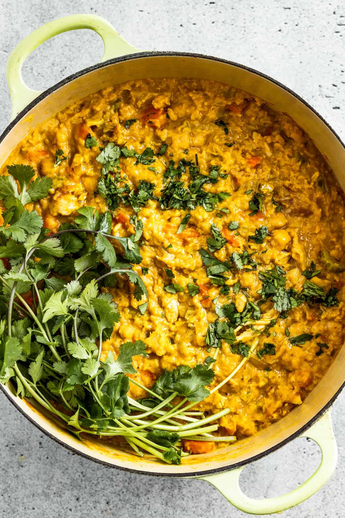 Overhead shot of a bowl of Mulligatawny Stew garnished with fresh cilantro