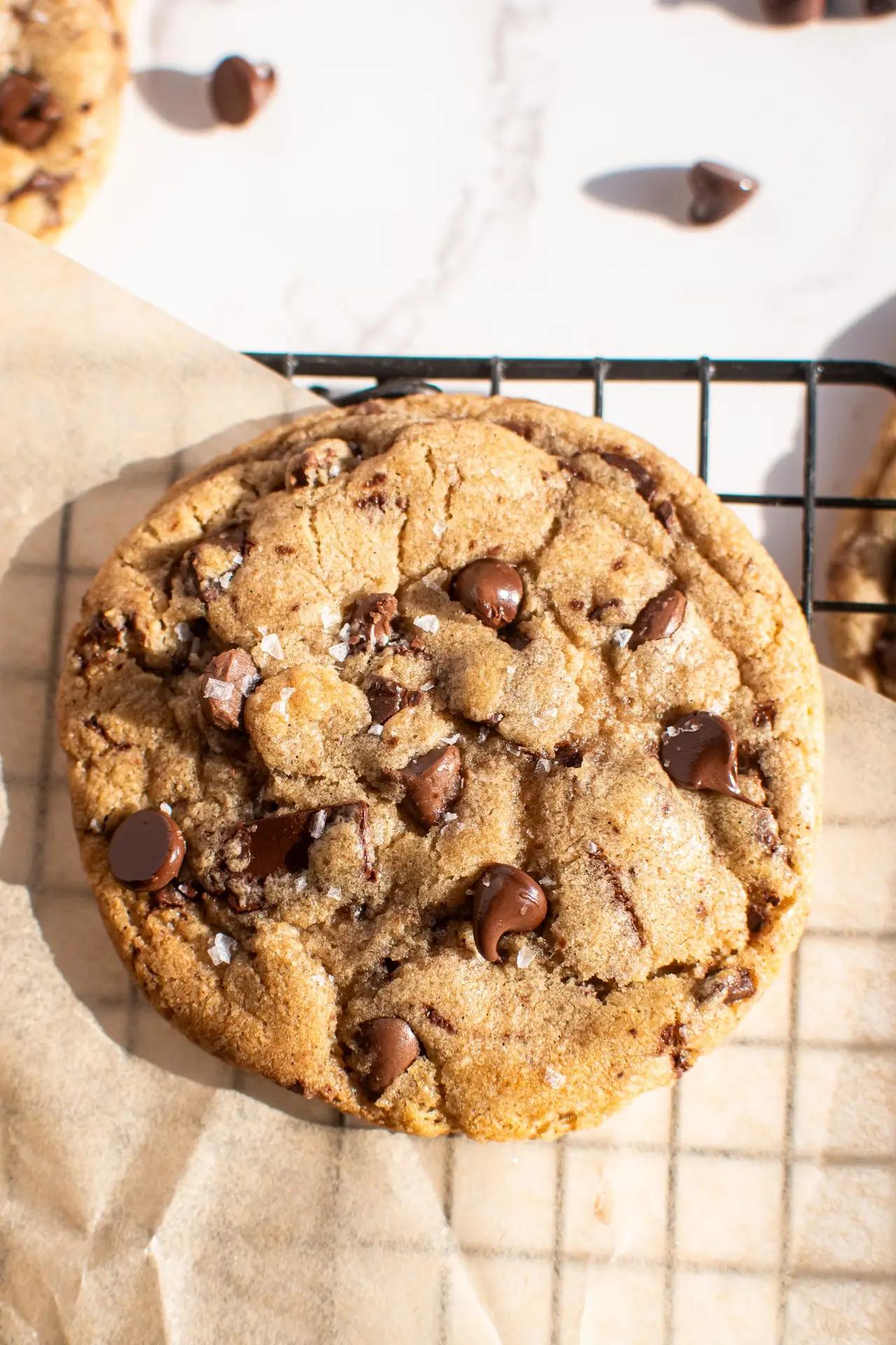 close up of freshly baked chocolate chip cookies