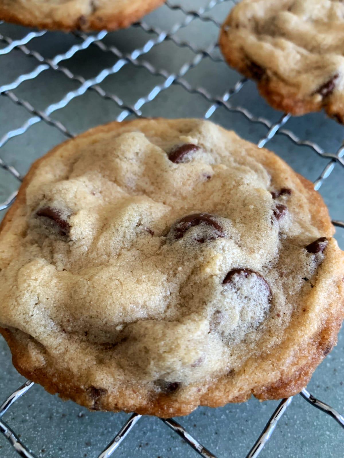 Close-up of soft chocolate chip cookies cooling on a wire rack