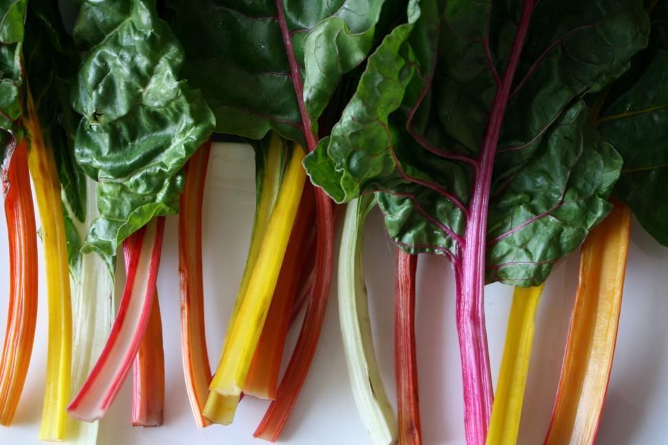 Close up of fresh Swiss chard with colorful stems