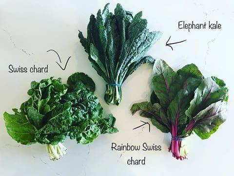 A variety of fresh leafy greens, spinach, chard, kale