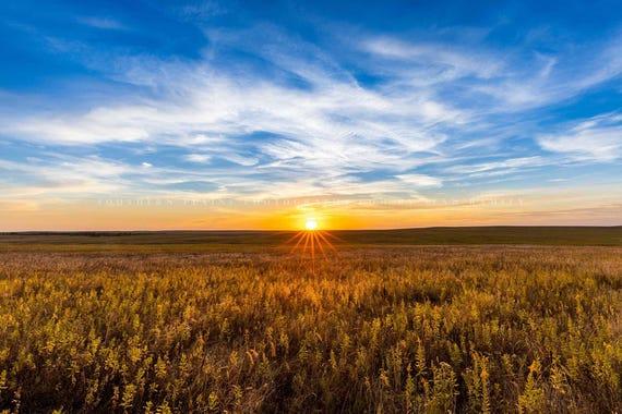 Oklahoma landscape with wheat fields and a sunset