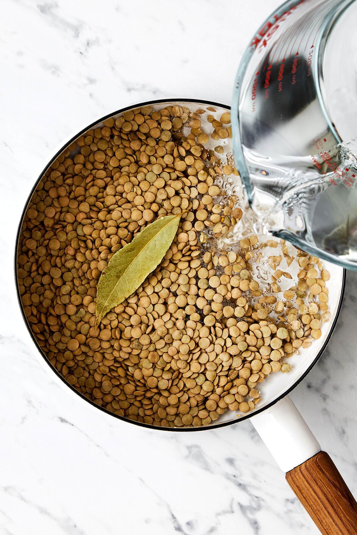 Close-up shot of a spoonful of lentil salad being lifted from a bowl