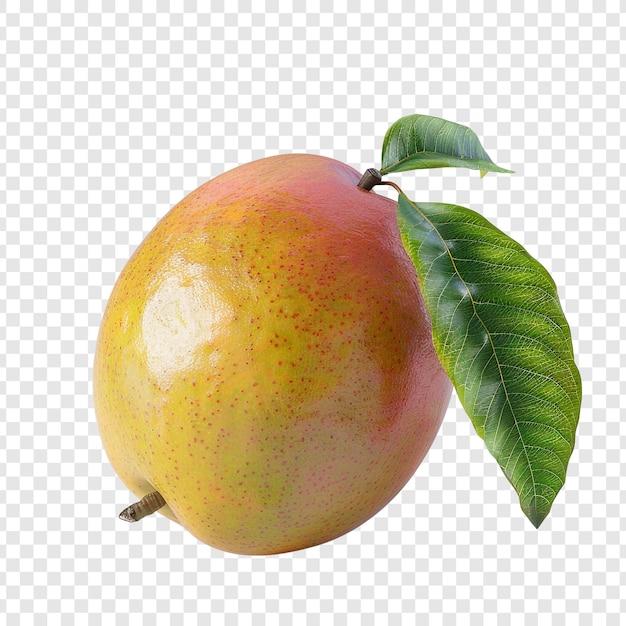 Close-up of a ripe mango and peach