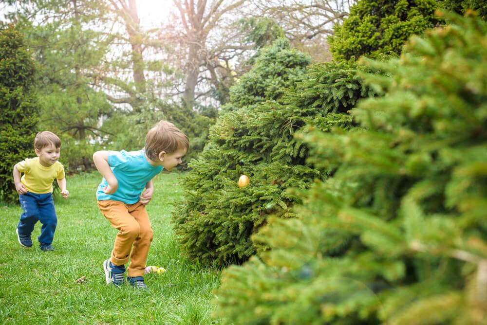 Hands placing colorful deviled eggs in various hiding spots in a garden.