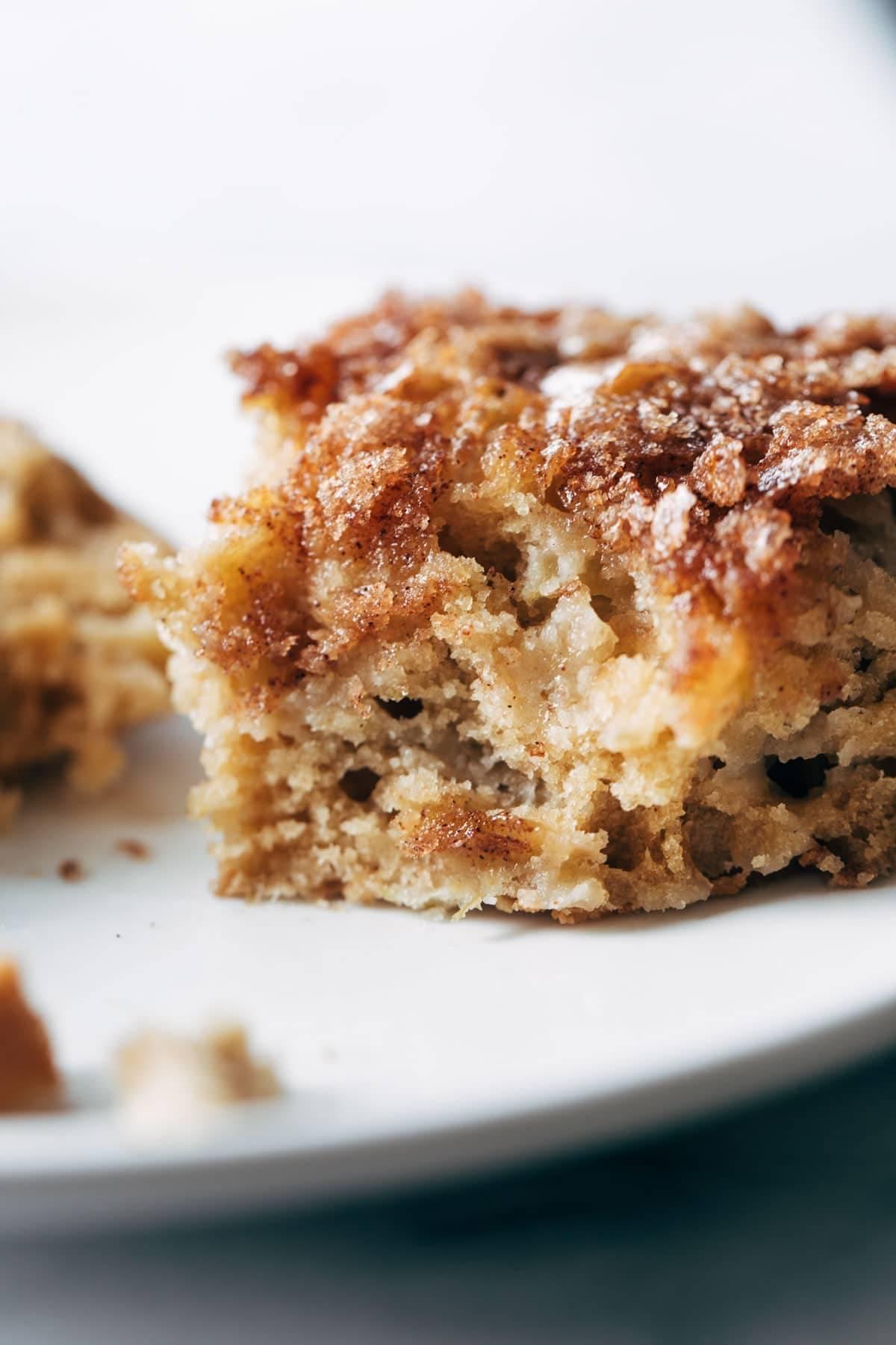 Close up of a delicious apple cake with cinnamon dusting