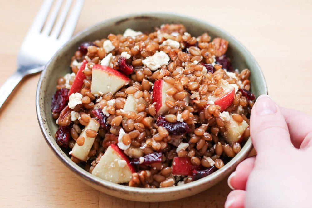 sprouted wheat berry salad served on a plate with a fork, natural light