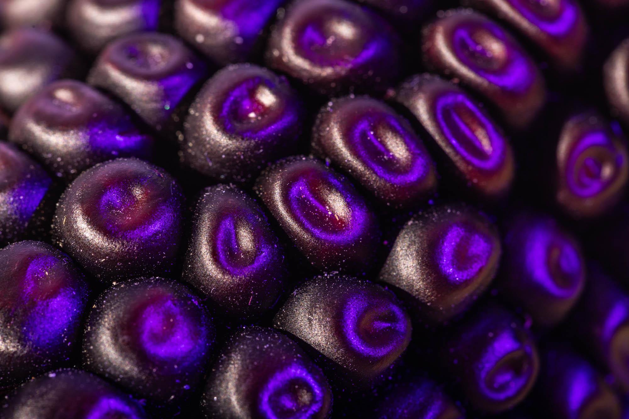 close-up of purple corn kernels