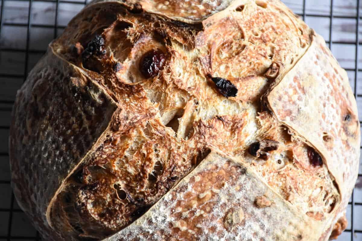 A loaf of sourdough walnut bread cooling on a wire rack