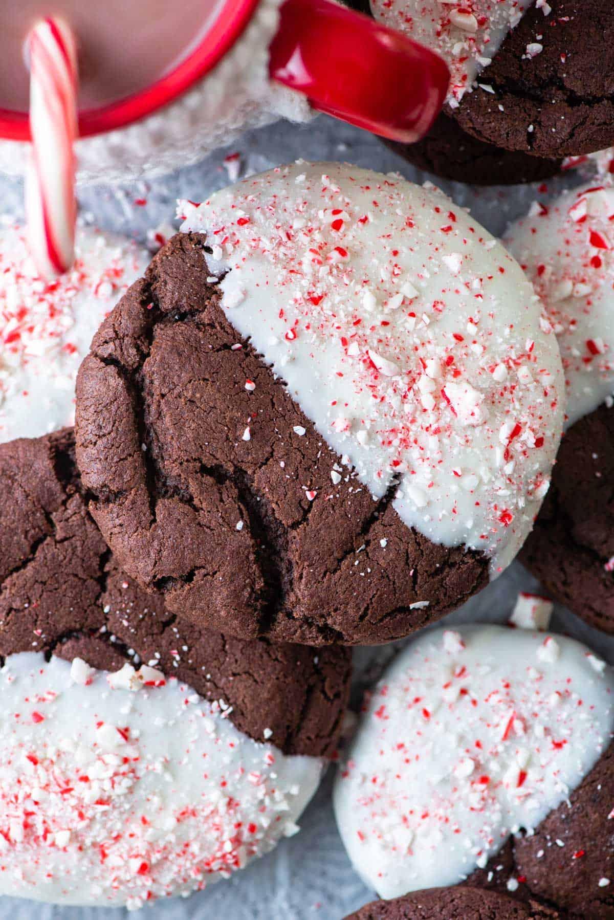 Close-up of a single cocoa peppermint cookie with crushed candy canes
