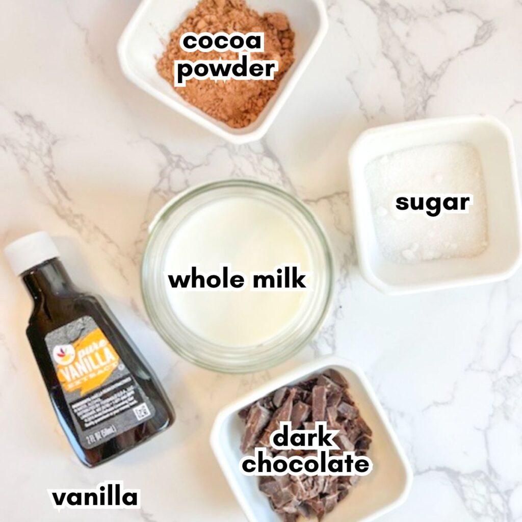 Ingredients for dark chocolate cocoa laid out artfully on a marble counter: high-quality cocoa powder, dark chocolate chunks, whole milk, granulated sugar, vanilla extract, and a tiny pinch of sea salt.