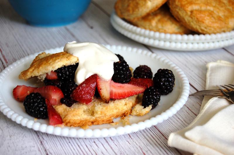 delicious homemade berry shortcakes with fresh berries and whipped cream