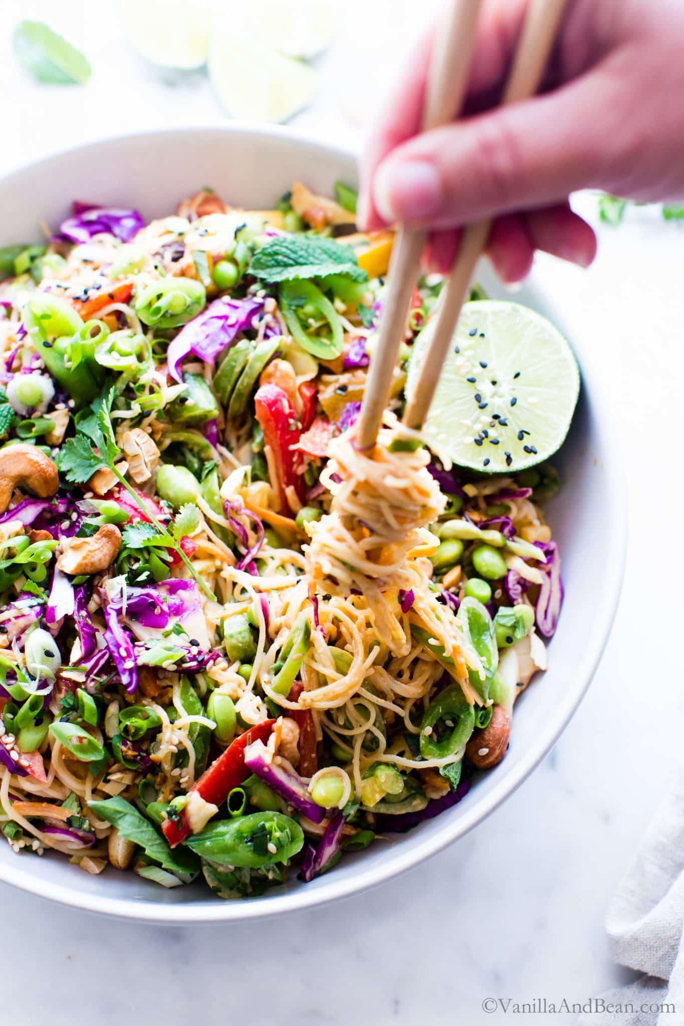 Thai peanut noodle salad with chicken and colorful vegetables, picnic setting