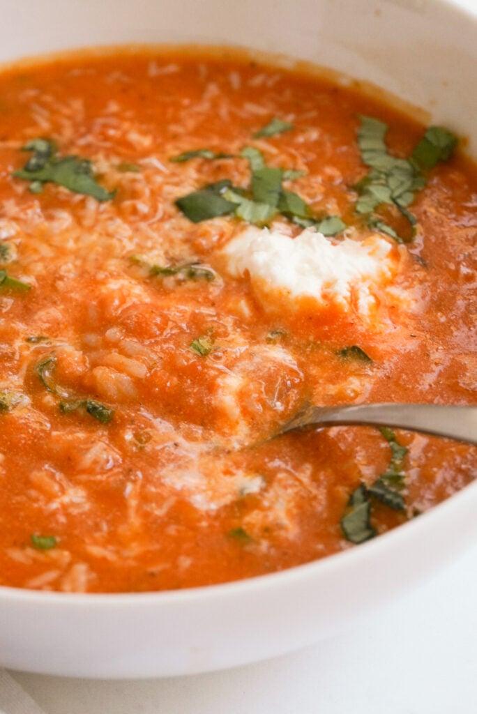 Close up of a creamy tomato rice bowl steaming
