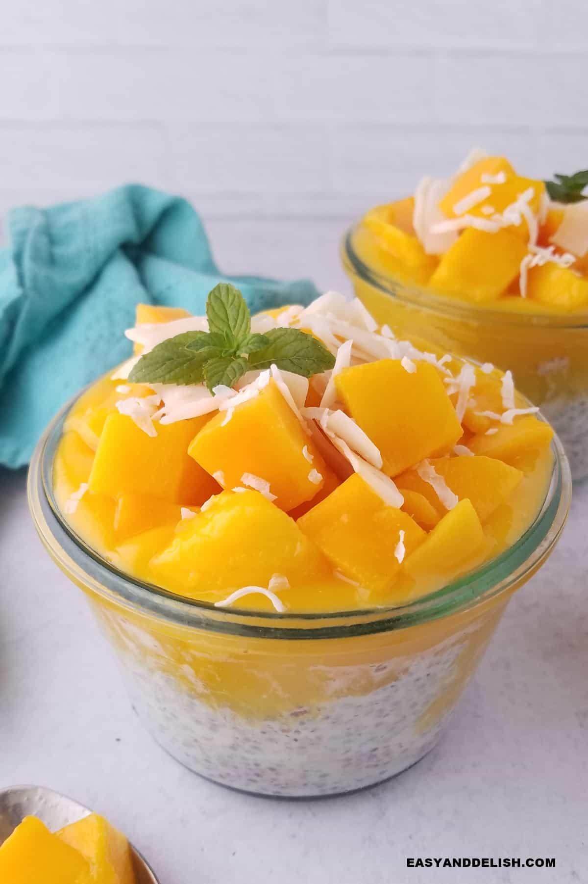 A vibrant and colorful image of a tropical mango chia pudding in a glass bowl, garnished with fresh mango chunks and mint leaves. The background should be a sunny beach setting.