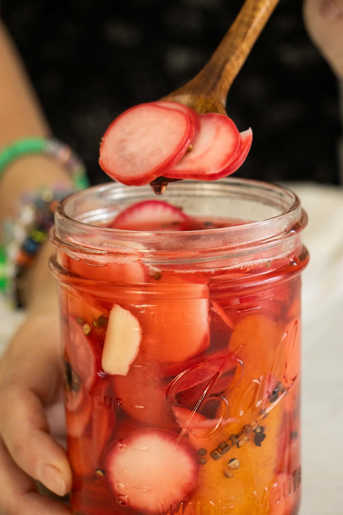 A hand reaching into a jar of quick pickled radishes with a fork
