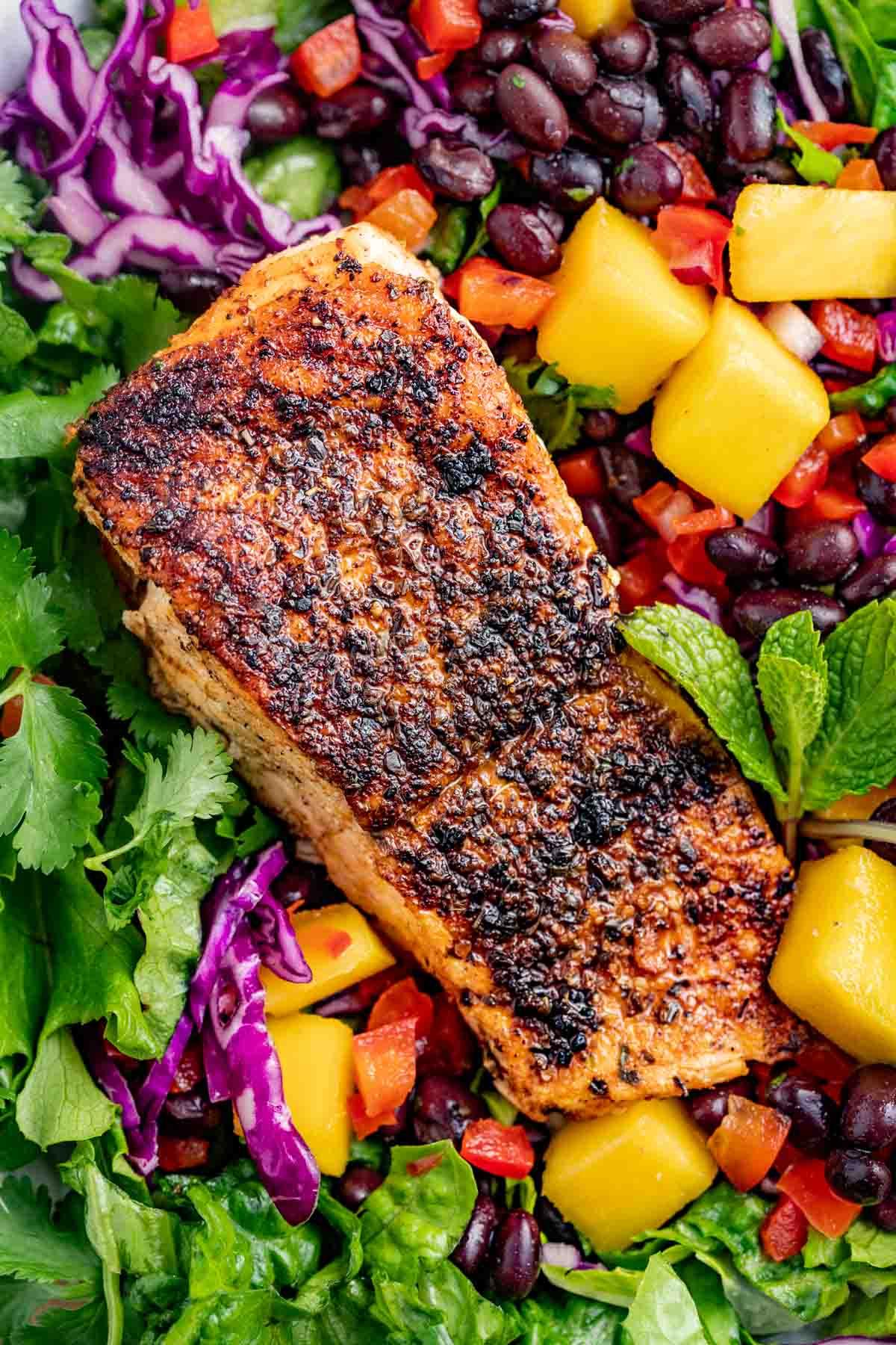 close-up shot of spicy keto avocado and blackened salmon salad