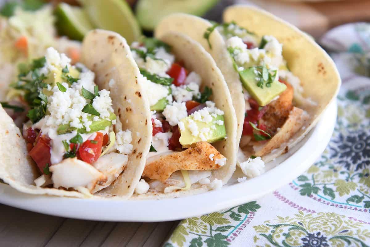 Close up of delicious seafood tacos