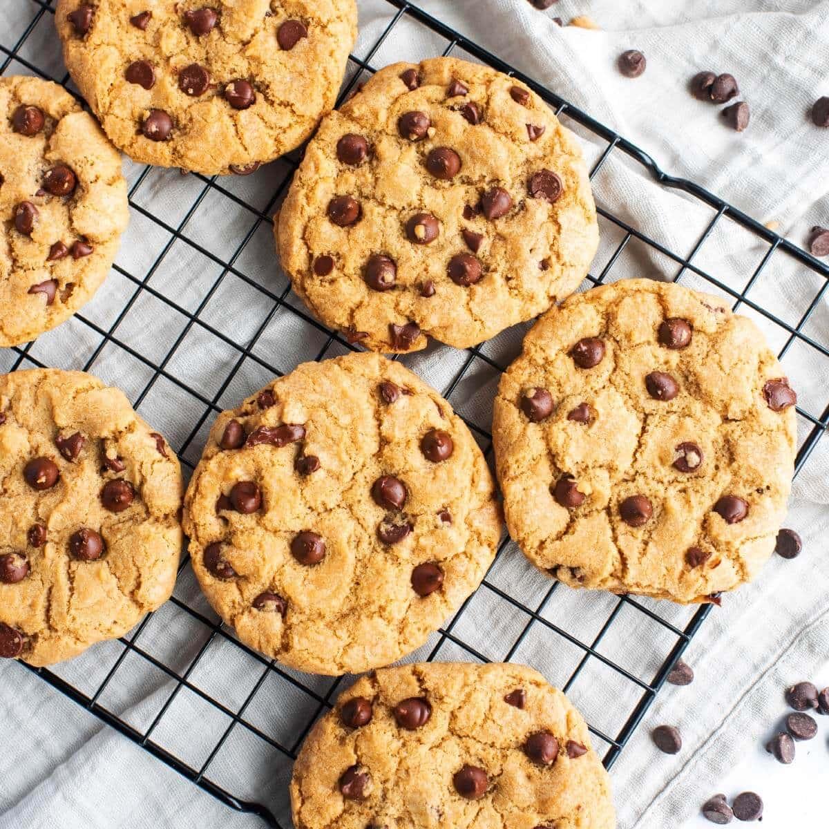 chocolate chip cookies cooling on a rack