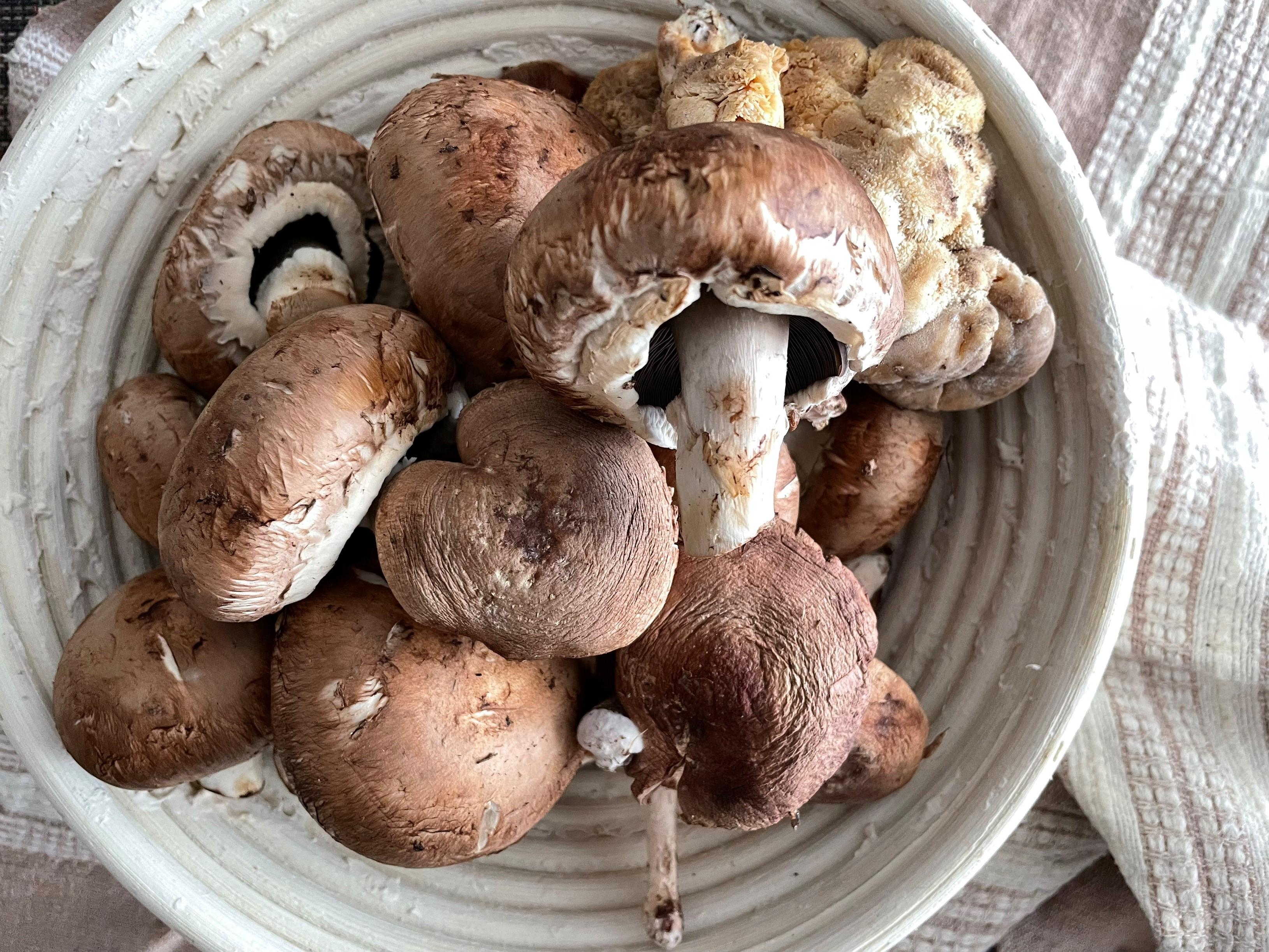 raw wild mushrooms at farmers market