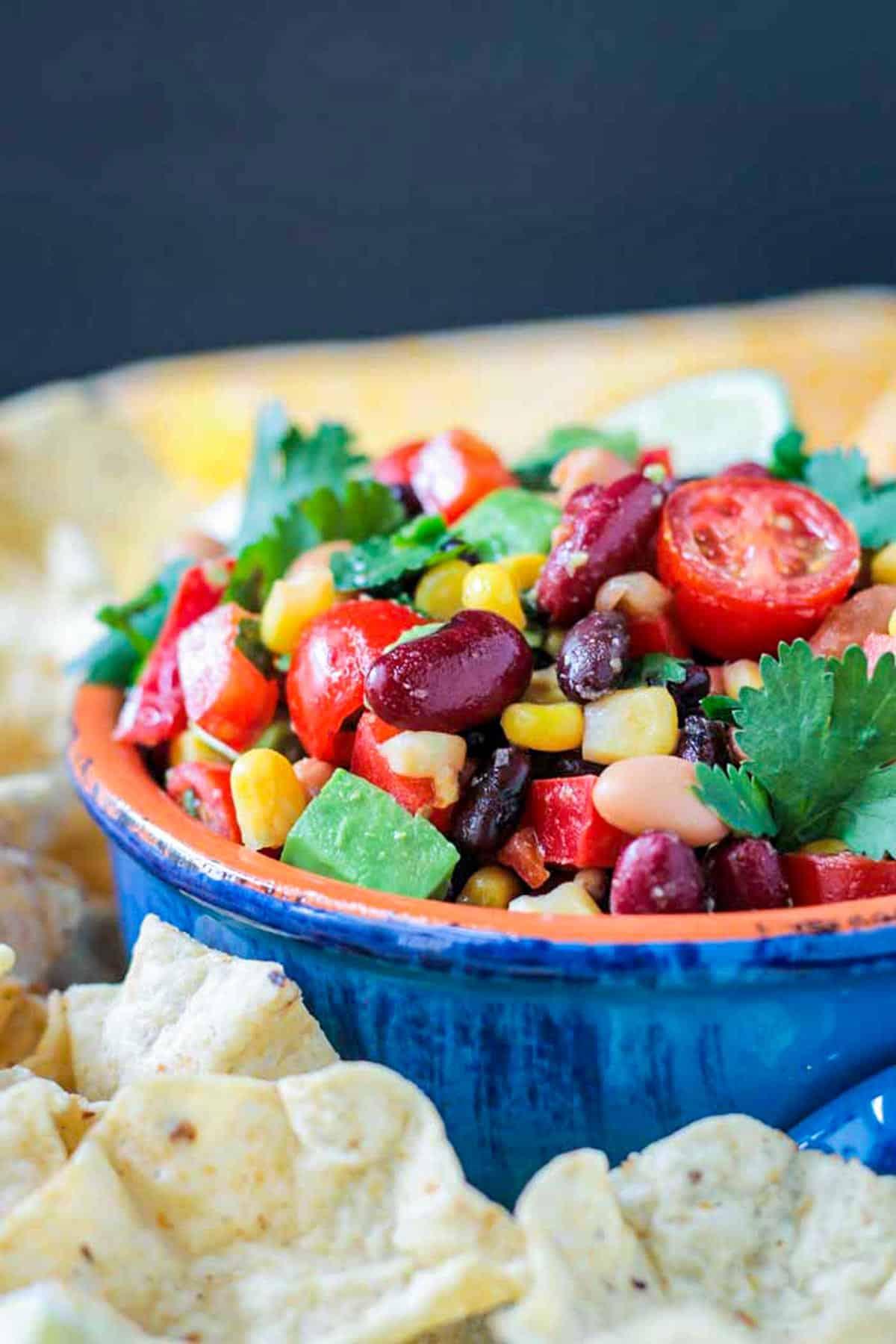 Close-up shot of a bowl of paprika and black bean salsa with tortilla chips