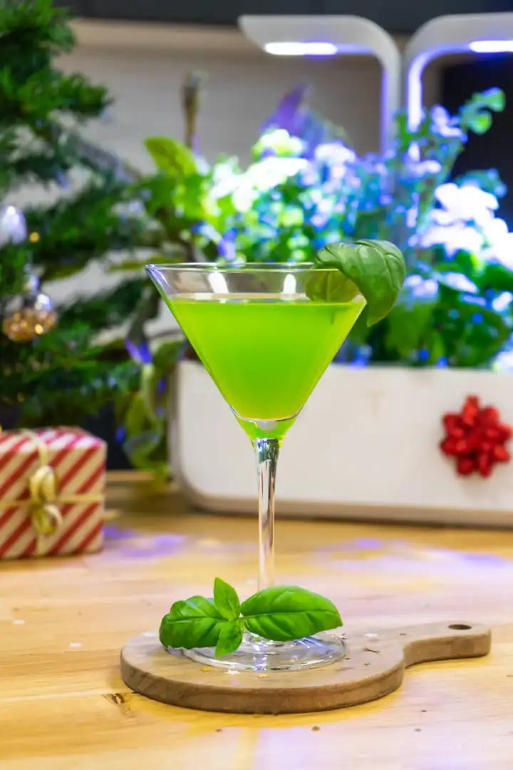 Person enjoying a Basil-infused Gin cocktail outdoors.