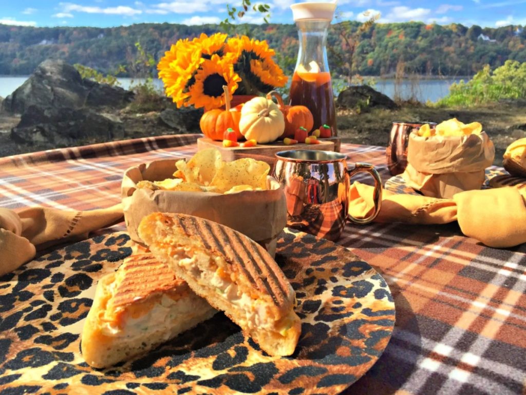 A delicious Tibetan Picnic Sandwich on a picnic blanket in the mountains