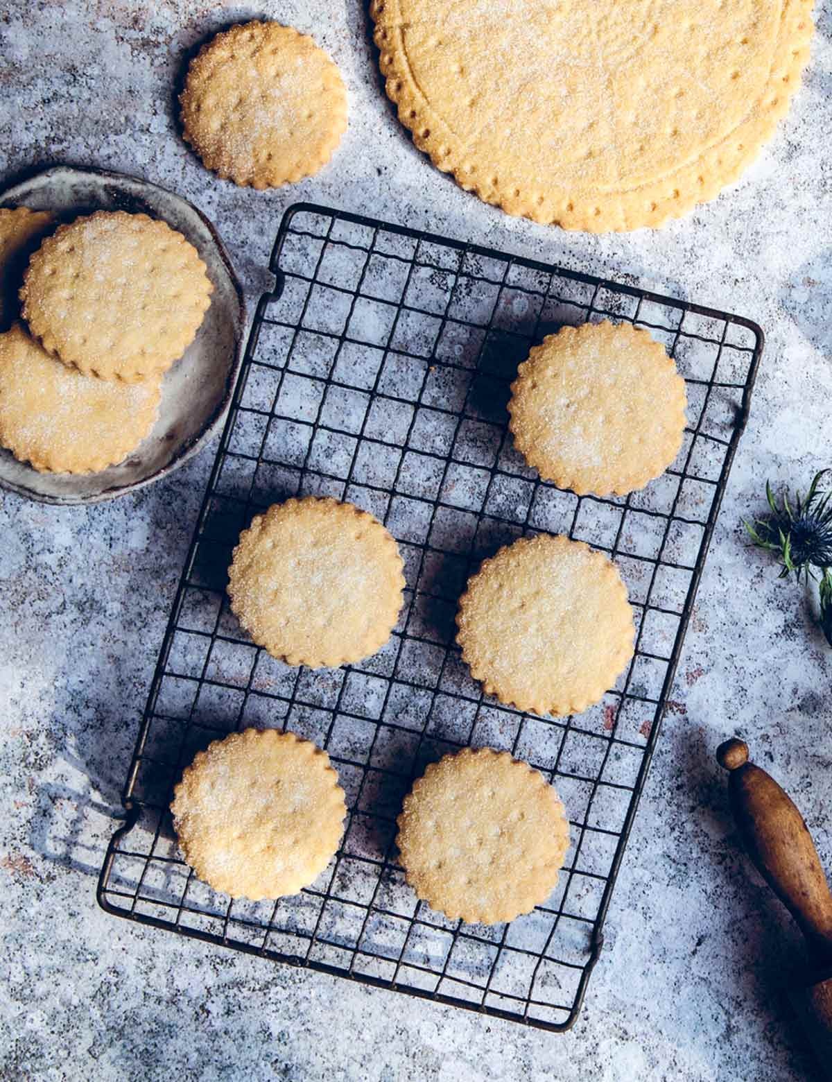 classic shortbread cookies on a cooling rack with crumbs, close up
