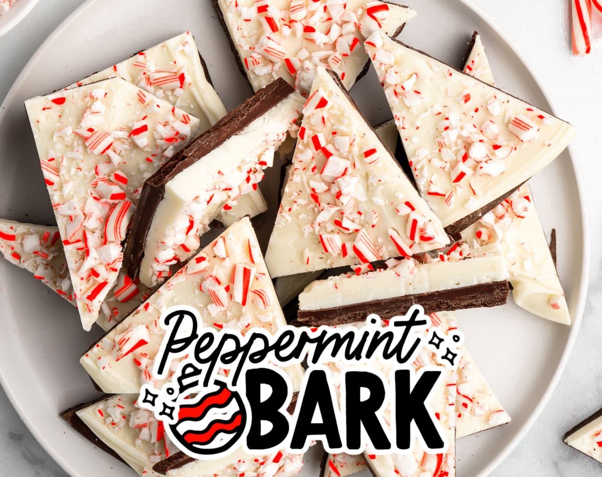 Homemade peppermint bark with white and dark chocolate layers and crushed candy canes, clean break