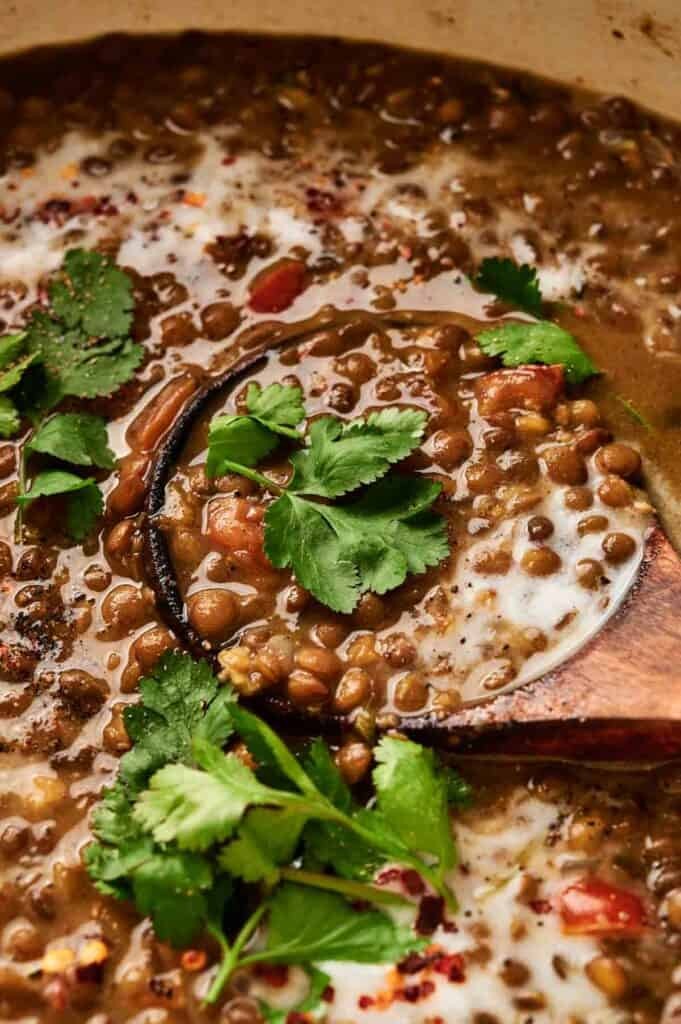 A hearty bowl of lentil soup with cumin and coriander garnished with fresh cilantro