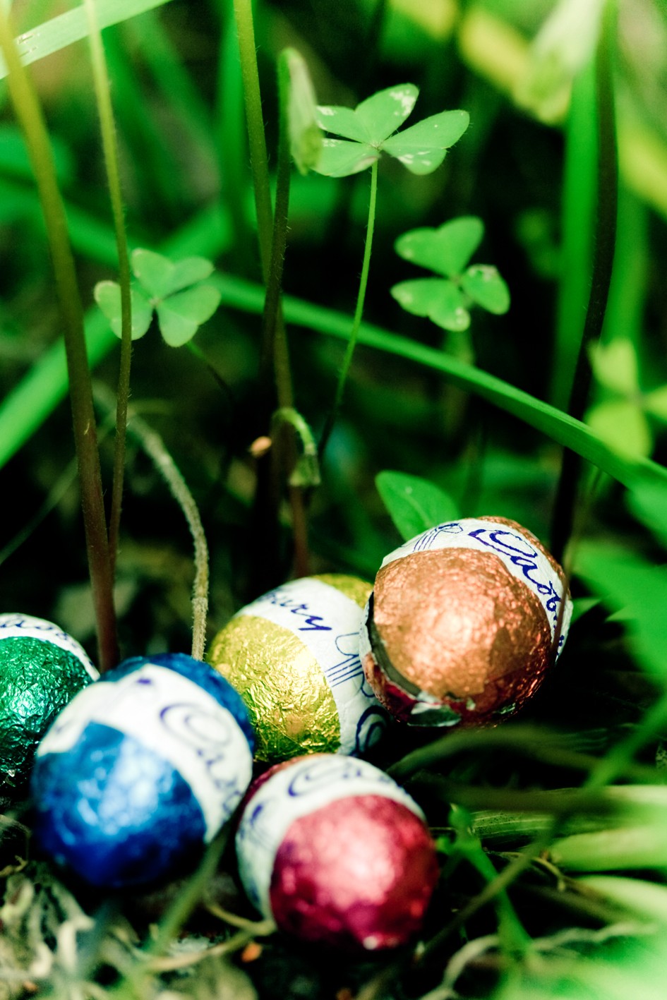 Easter egg hunt with deviled eggs hidden