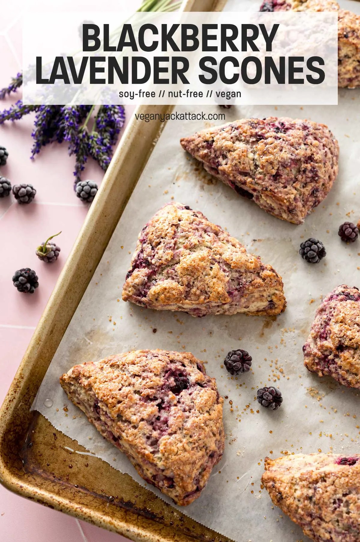 freshly baked blackberry lavender scones on a wooden board