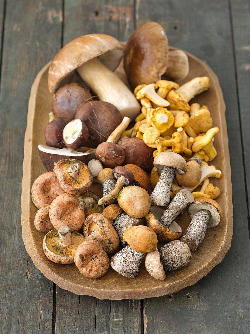 A rustic wooden table laden with fresh wild mushrooms and other ingredients for the recipe